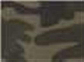 Green Camo