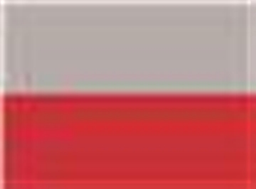 Grey/ Red