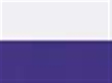 White/ Purple