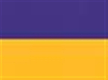 Purple/ Gold