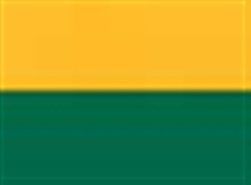 Gold/ Dark Green