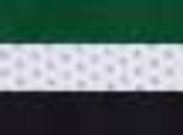 Dark Green/ White/ Black