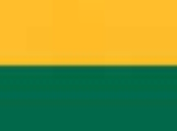 Gold/ Dark Green