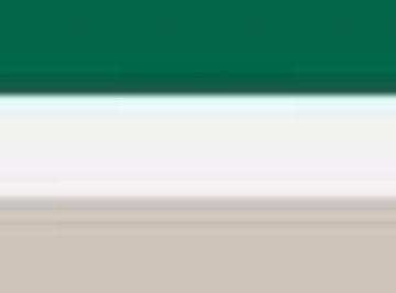 Dark Green/ White/ Silver Grey