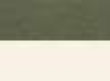 Olive Heather/ Birch