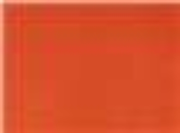 Burnt Orange
