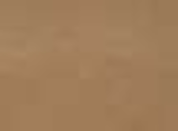 Coyote Brown