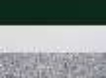 Dark Green/ White/ Metallic Silver