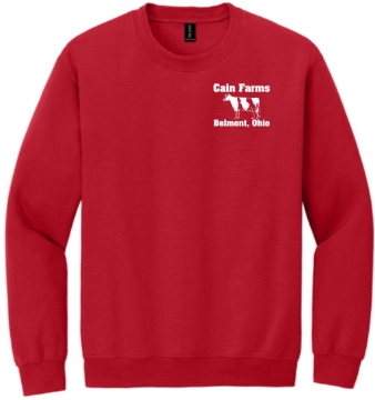 R - Red